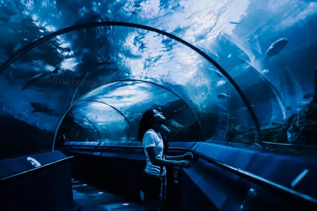 Verkauf von Aquarien und Technik